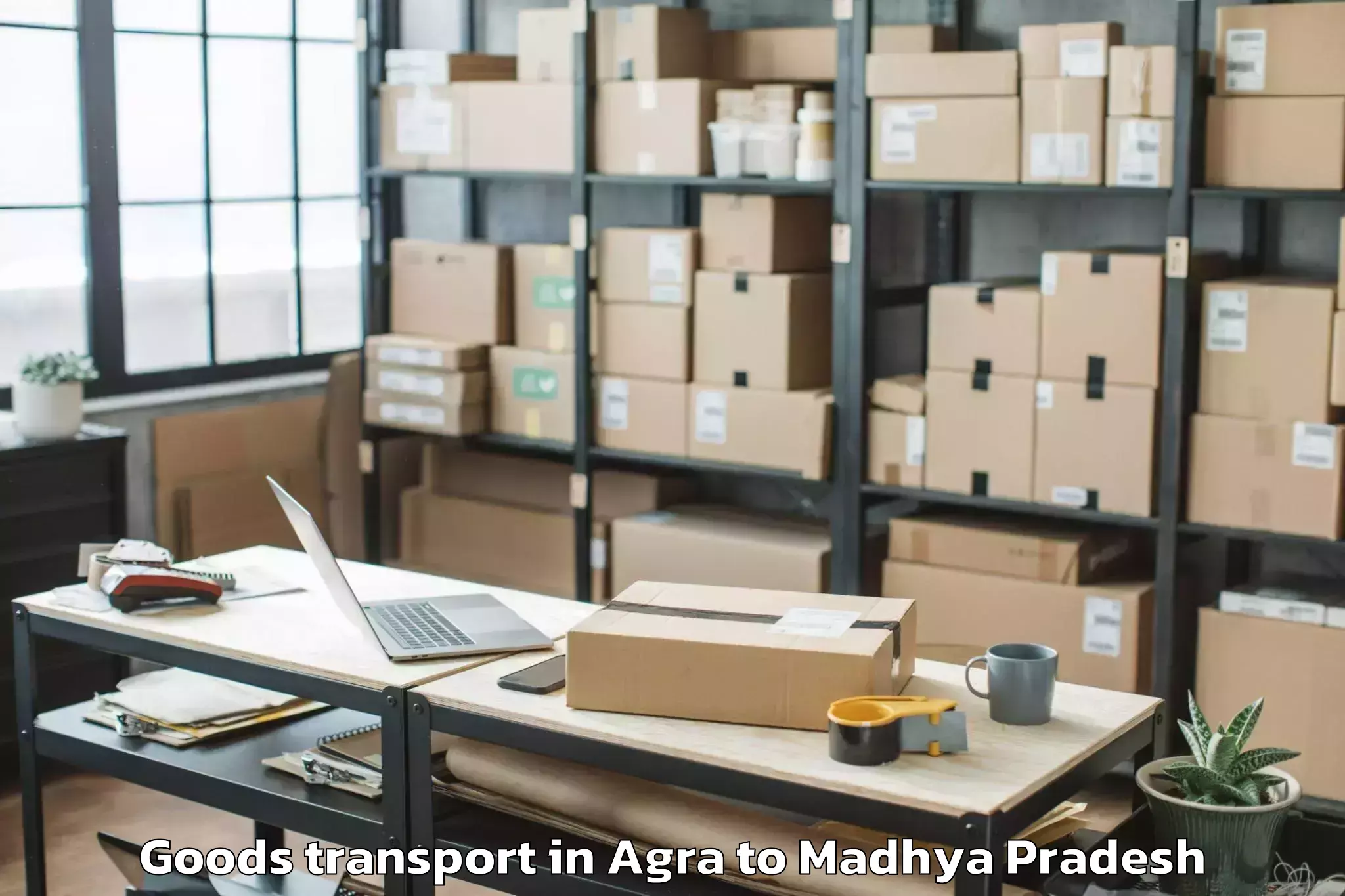 Top Agra to Buxwaha Goods Transport Available